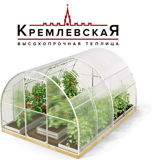 Кремлевские теплицы купить в Москве